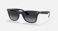 RB4195 Wayfarer Liteforce