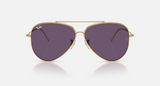 RBR0101S Aviator Reverse