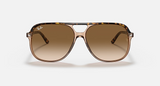 Ray-Ban RB2198 Bill