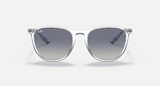 Ray-Ban RB4171 Erika Sunglasses