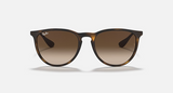 RB4171F Erika Classic Low Bridge Fit