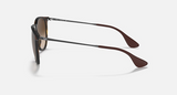 RB4171F Erika Classic Low Bridge Fit