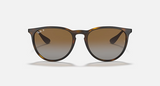 RB4171F Erika Classic Low Bridge Fit