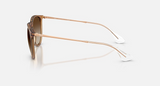 RB4171F Erika Classic Low Bridge Fit