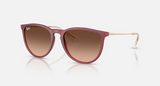 RB4171F Erika Classic Low Bridge Fit