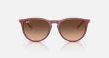 RB4171F Erika Classic Low Bridge Fit