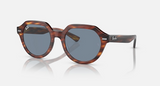 RB4399 Gina