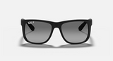 RB4165F Justin Classic Low Bridge Fit
