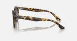 RB7680S Larry