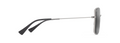Lipine