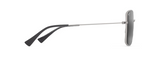 Lipine