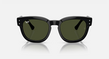 RB0298S Mega Hawkeye Low Bridge Fit