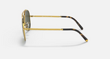 RB3625 New Aviator