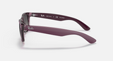 RB2132 New Wayfarer Classic