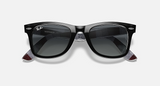 RB2140 Original Wayfarer Color Mix