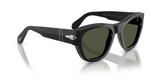 PO0054S