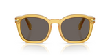 PO0082S
