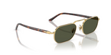 PO1020S