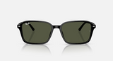 RB2231 Raimond