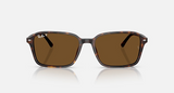 RB2231 Raimond