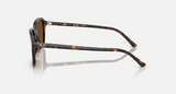 RB2231 Raimond