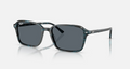 RB2231 Raimond
