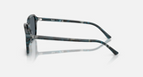 RB2231 Raimond