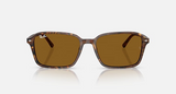 RB2231 Raimond
