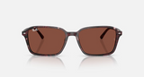 RB2231 Raimond