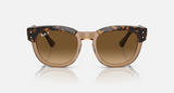 RB0298S Mega Hawkeye Low Bridge Fit