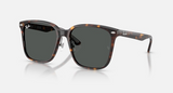RB2206D Low Bridge Fit