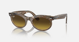 RB2242F Wayfarer Oval Change Low Bridge Fit