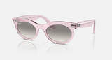 RB2242F Wayfarer Oval Change Low Bridge Fit