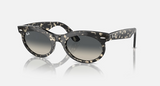 RB2242F Wayfarer Oval Low Bridge Fit