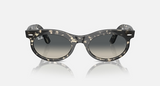 RB2242F Wayfarer Oval Low Bridge Fit