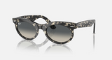 RB2242 Wayfarer Oval