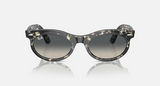 RB2242 Wayfarer Oval