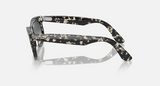 RB2242 Wayfarer Oval