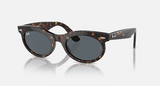 RB2242F Wayfarer Oval Low Bridge Fit