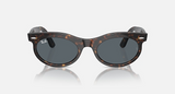 RB2242 Wayfarer Oval