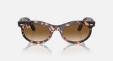 RB2242F Wayfarer Oval Low Bridge Fit