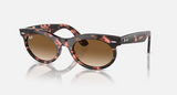 RB2242 Wayfarer Oval