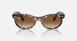 RB2242 Wayfarer Oval