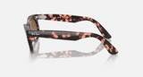 RB2242 Wayfarer Oval