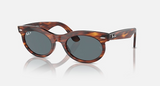 RB2242F Wayfarer Oval Low Bridge Fit