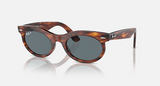 RB2242 Wayfarer Oval