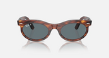 RB2242 Wayfarer Oval