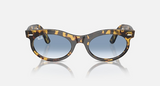 RB2242F Wayfarer Oval Low Bridge Fit