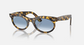 RB2242 Wayfarer Oval