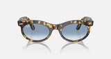 RB2242 Wayfarer Oval
